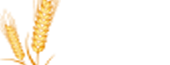 Lassani Flour Mills
